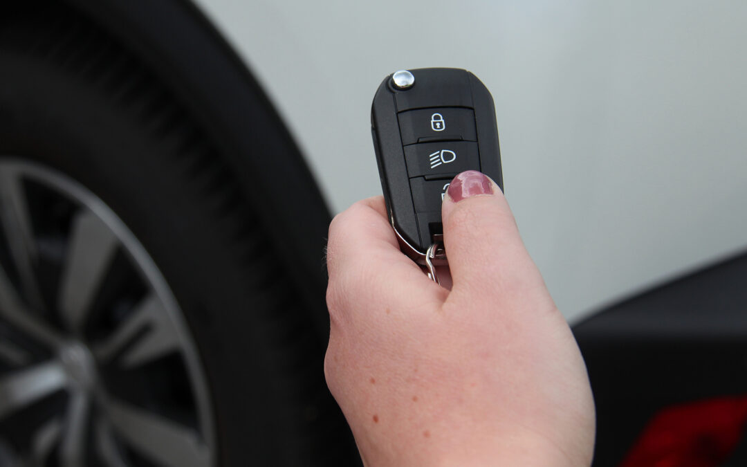 Advieswijzer Auto en fiscus