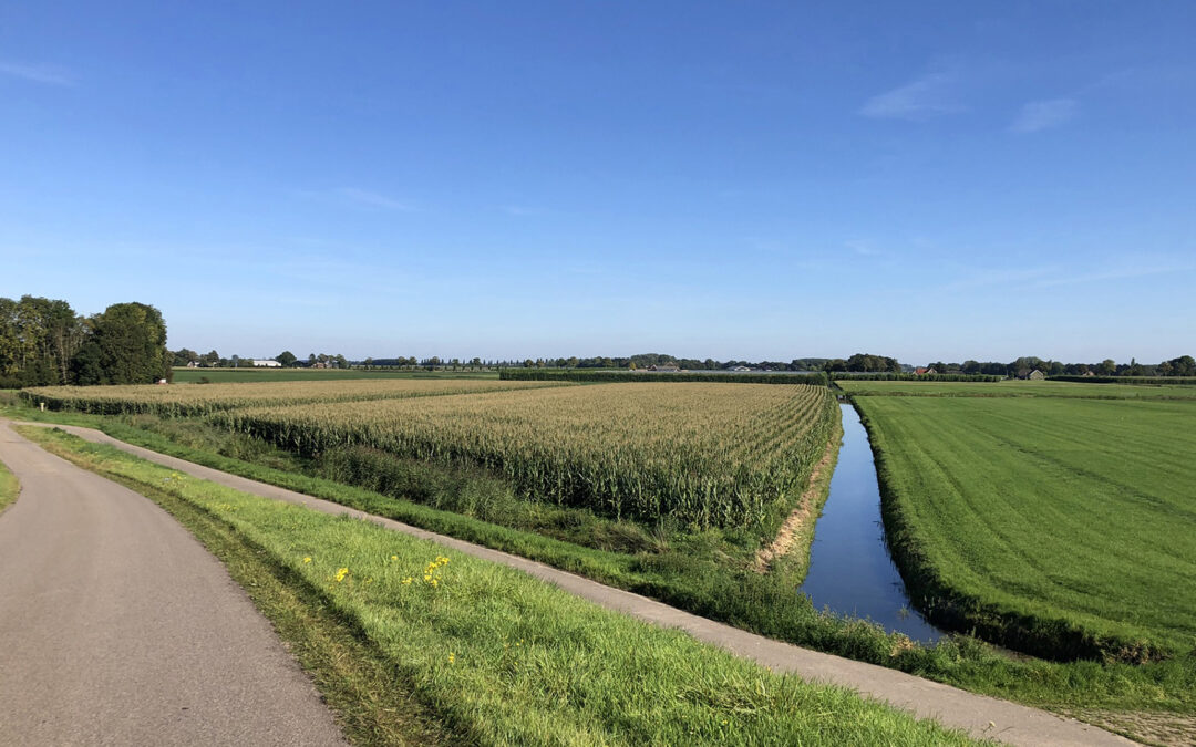 Vanaf 1 juni Subsidieregeling extensivering melkveehouderij