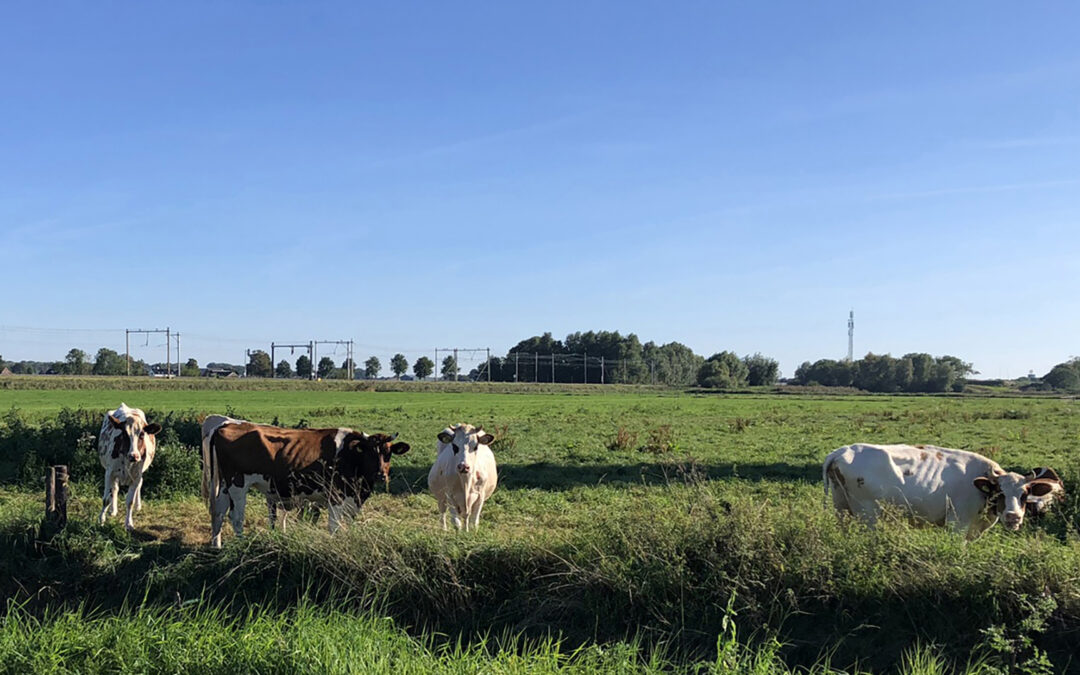 Lagere WOZ-waarde voor PAS-melder