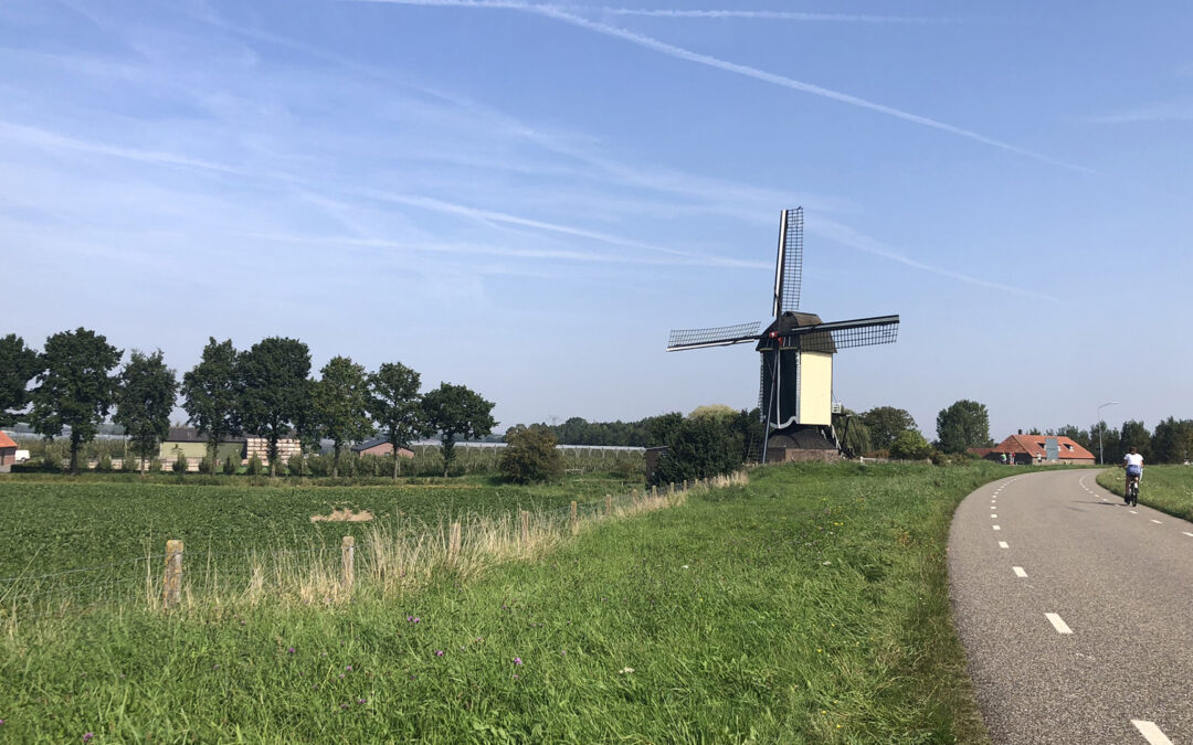 Kosten aftrekbaar ondanks gedeeltelijke winstvrijstelling?